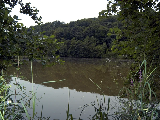 Möttauer Weiher Möttauer Weiher