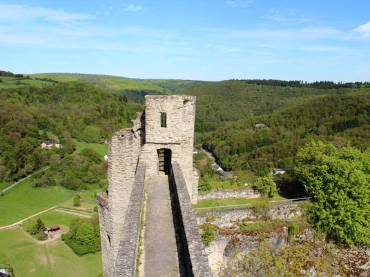 Burg Hohenstein