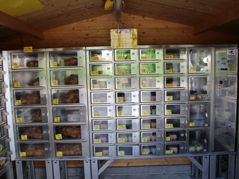 Eierautomat am Hof Libbach