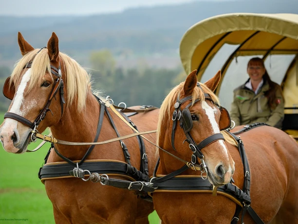 Genuss PUR - Streifzug durch Usingen
