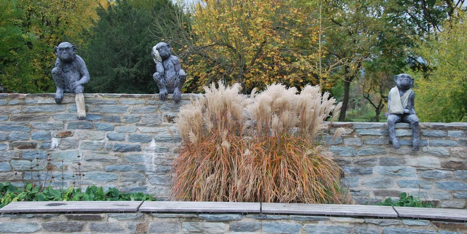 Laura Ford "A & E Monkey" (2012) seit 2017 in Eschborn Kunstinstallation mit 3 Affen, die auf einer Mauer sitzen. Sie haben unterschiedliche Körperteile verbunden. Vor der Muer ist ein mittelhohes Federgras gepflanzt, davor eine Sitzbank.