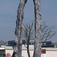Peter Lundberg "Hua" (2007) seit 2007 in Eschborn