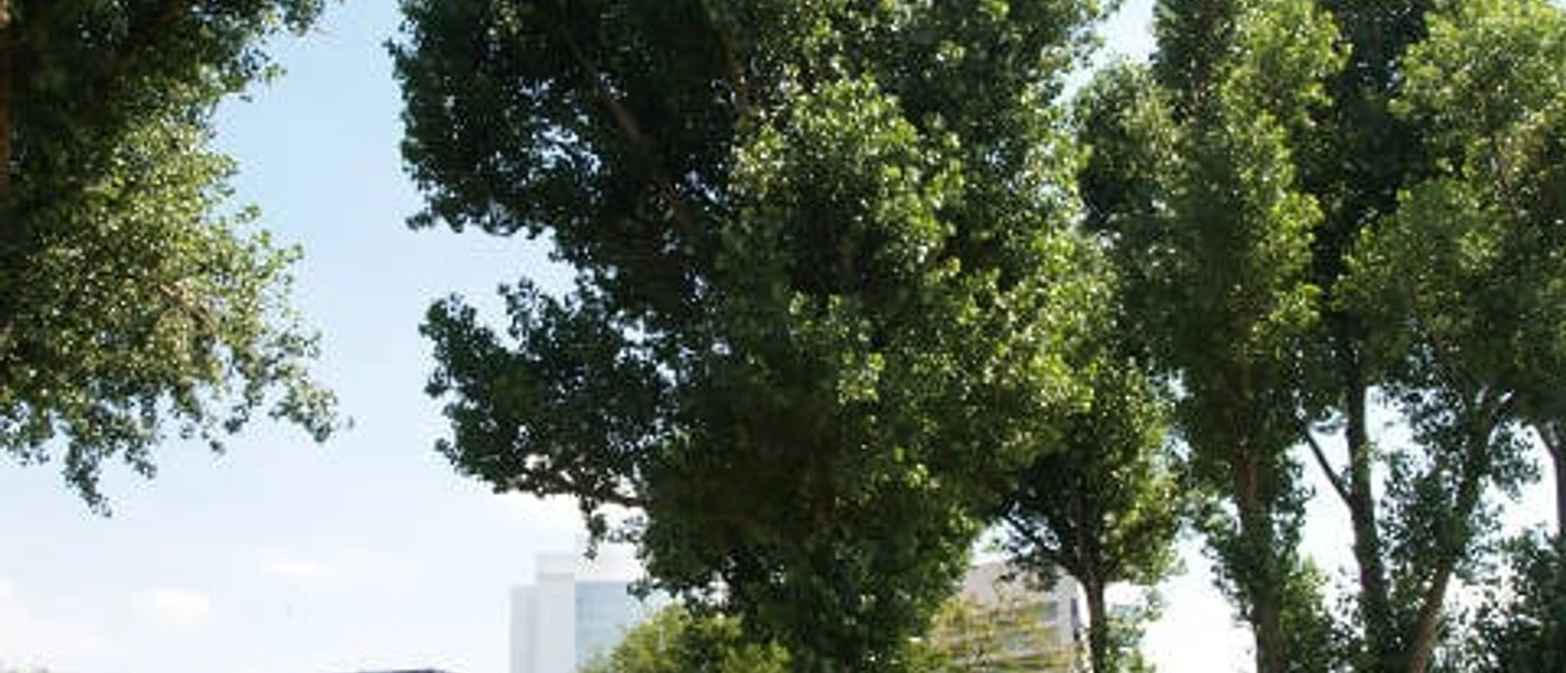 Timm Ulrichs "Versatzstück" (1969/2001) seit 2009 in Eschborn