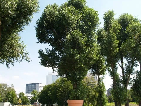 Timm Ulrichs "Versatzstück" (1969/2001) seit 2009 in Eschborn