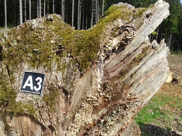 Wegekennzeichen A3