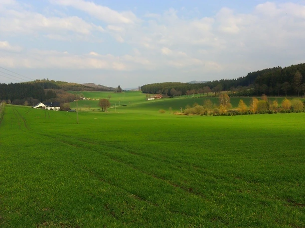 A1 Hespe - Blick auf einzelne Höfe im Hespetal