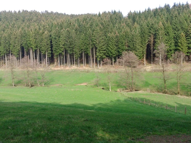 A1 Hespe - Bachlauf Hespe