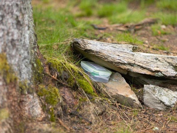 So gut sind die Geocoaches meist nicht zur sehen, ein wenig Suchen muss man schon.