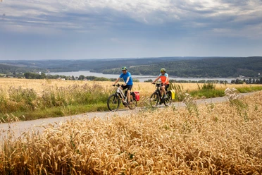 Zwei Radfahrer auf Feldweg am Möhnesee, umgeben von Getreidefeldern und weiter Seelandschaft