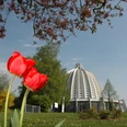 Bahá`ì Tempel