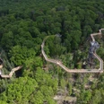 Baumwipfelweg Drohnenaufnahme des Baumwipfelwegs