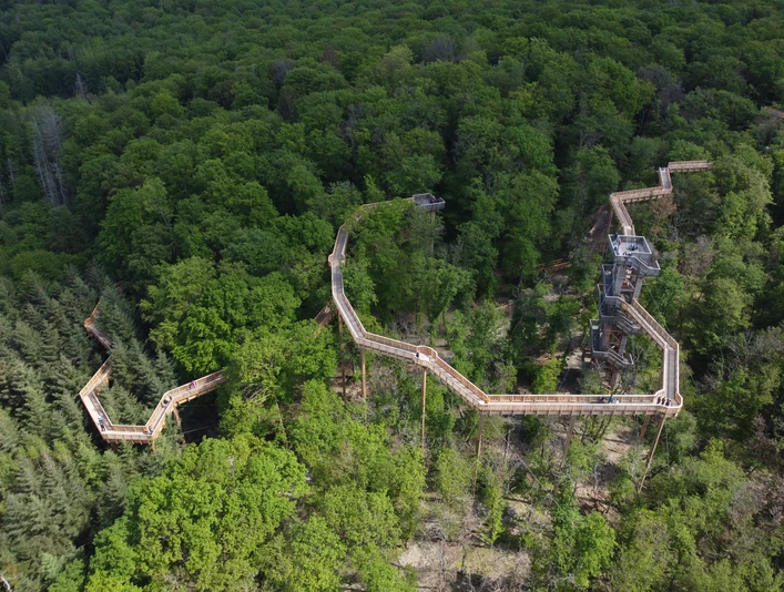 Baumwipfelweg Drohnenaufnahme des Baumwipfelwegs