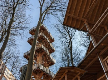 Baumwipfelweg Bad Camberg