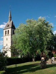 Kirchturm von St. Fabian und Sebastian in Giershagen hinter blühenden Bäumen