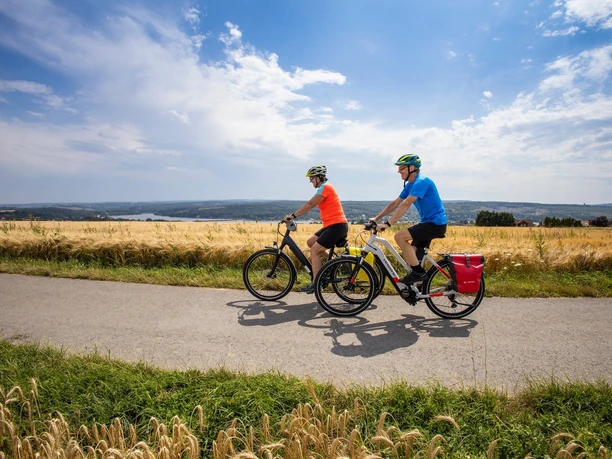 Zwei Radfahrer auf Feldweg am Möhnesee, umgeben von Getreidefeldern und weitem Himmel