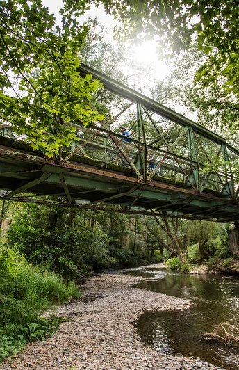 Alte Eisenbahnbrücke