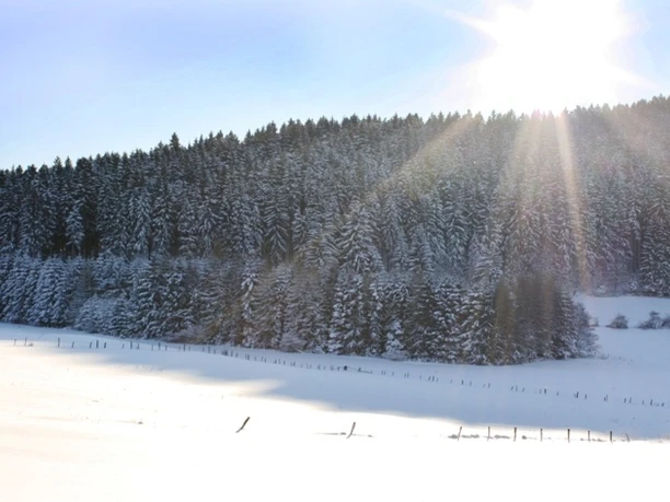 Aussicht Loipe Brilon