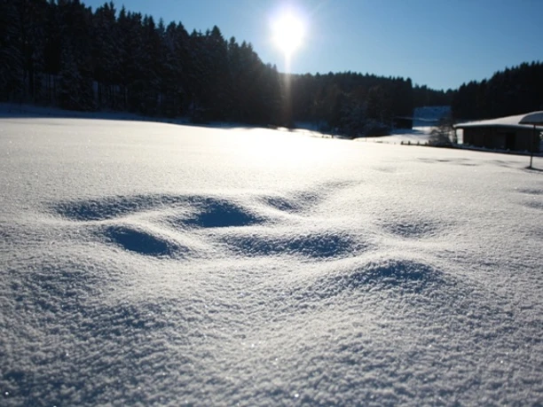 Landschaft Loipen Brilon