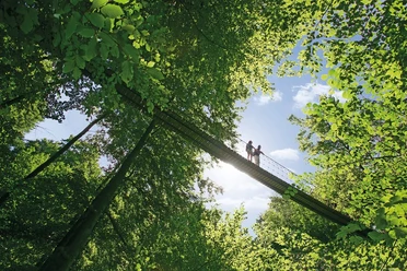 Hängebrücke am Rothaarsteig bei Kühhude