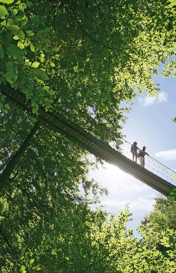 Hängebrücke am Rothaarsteig bei Kühhude