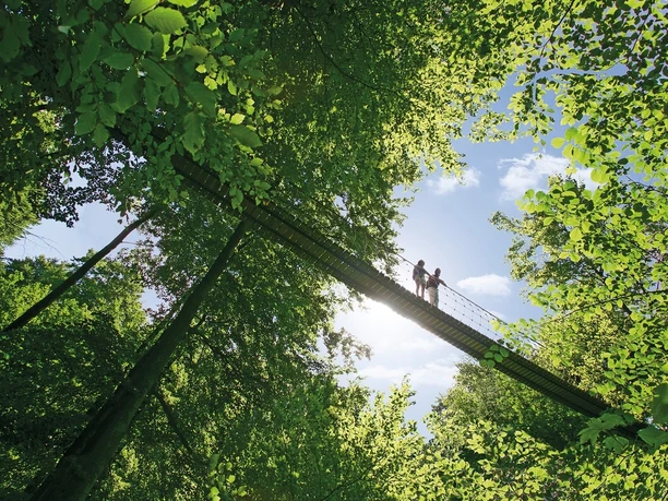 Hängebrücke am Rothaarsteig bei Kühhude