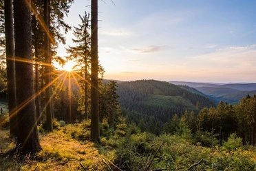 Aussicht vom Grenzweg bei Schmallenberg-Jagdhaus Aussicht vom Grenzweg bei Schmallenberg-Jagdhaus