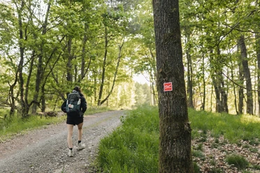 Wanderin auf einem Waldweg auf dem Rothaarsteig