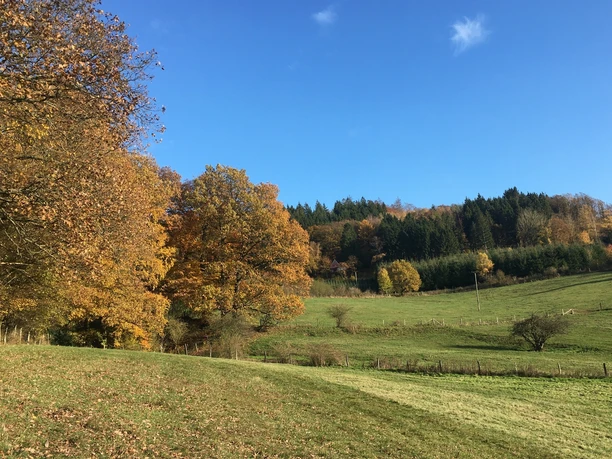 Landschaft in Hagen