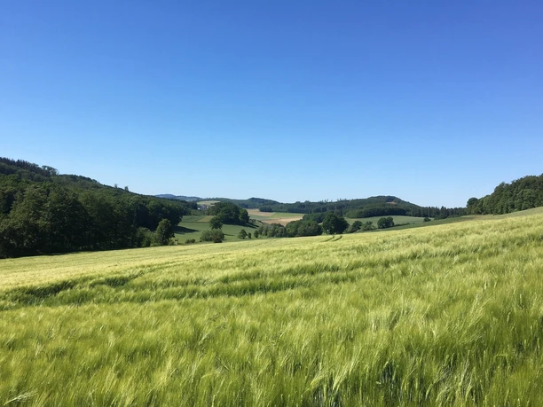 Blick nach Mellen im Mühlbachtal