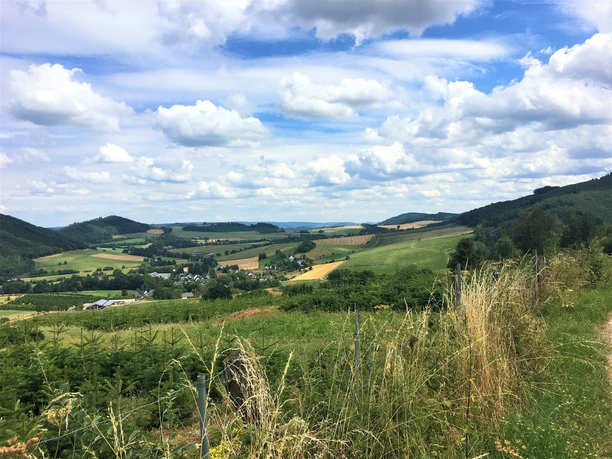 Linnepe im "Alten Testament"