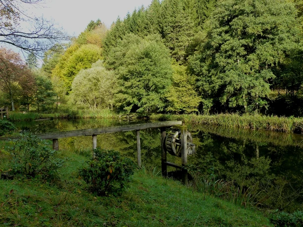 Teich in Linneperhütte