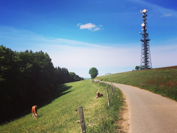 Schombergturm