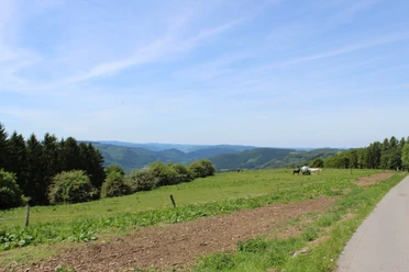 Wanderweg Wildewiese