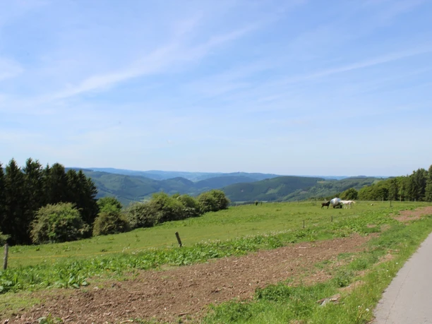 Wanderweg Wildewiese