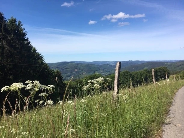 Aussicht nach Rönkhausen