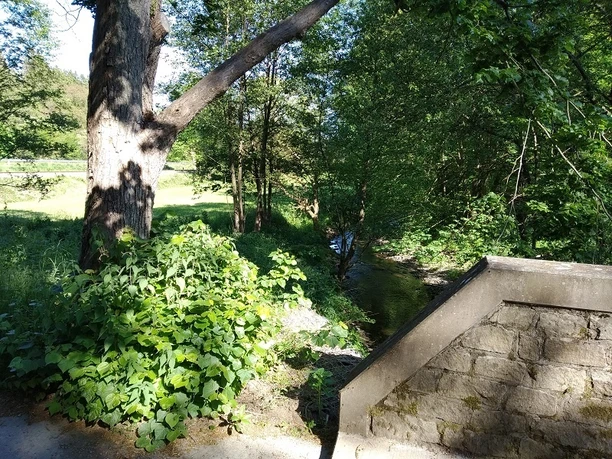 Brücke über die Volme. Rechts ist das Ende der gemauerten Brücke zu sehen. Links steht ein Baum, von dem man nur den Stamm sieht. Im Vordergrund grünes Gebüsch, im Hintergrund Bäume.