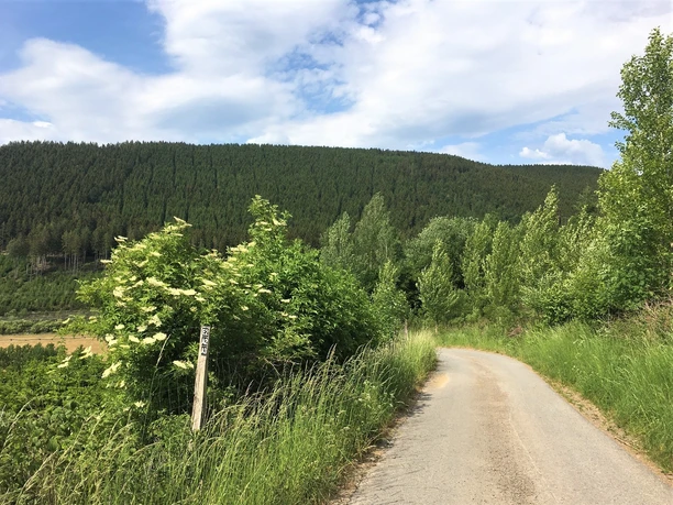 Weg zur Hohen Liethe