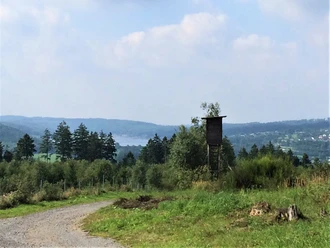 Blick auf den Sorpesee