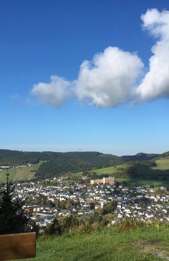 Blick vom Orenberg auf Willingen
