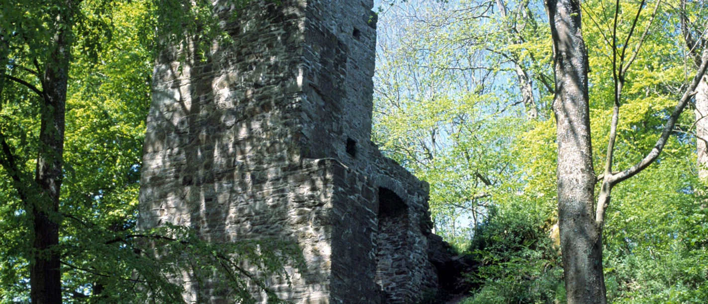 Burgruine Schwarzenberg