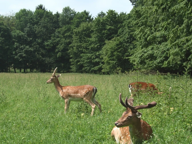 Freiherr-von-Wintzingerode-Park