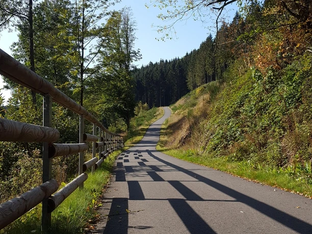 Fahrradweg im Grünetal am Grünebach