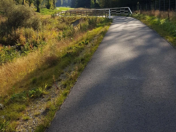 MTB Bergziegen Tour