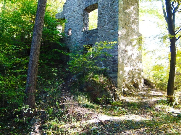 Burgruine Schwarzenberg
