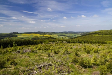 Blick vom Blackshahn nahe Waldeshöhe auf dem Sauerland-Höhenflug Blick vom Blackshahn nahe Waldeshöhe auf dem Sauerland-Höhenflug