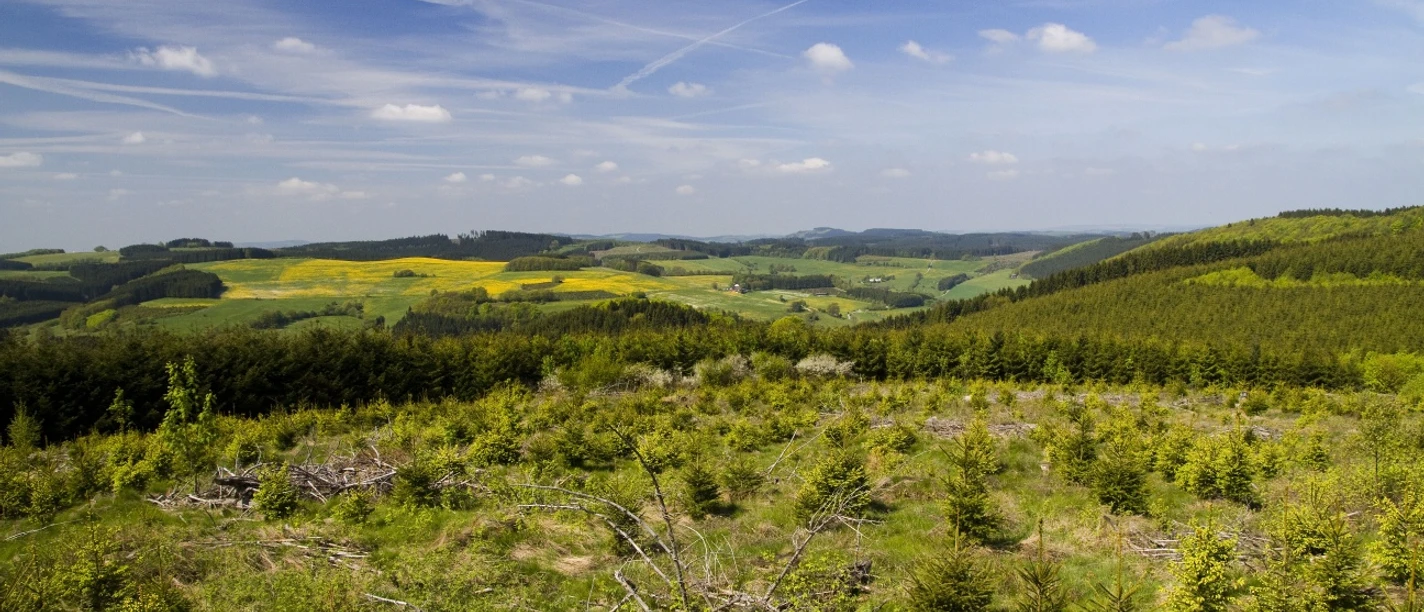 Blick vom Blackshahn nahe Waldeshöhe auf dem Sauerland-Höhenflug Blick vom Blackshahn nahe Waldeshöhe auf dem Sauerland-Höhenflug