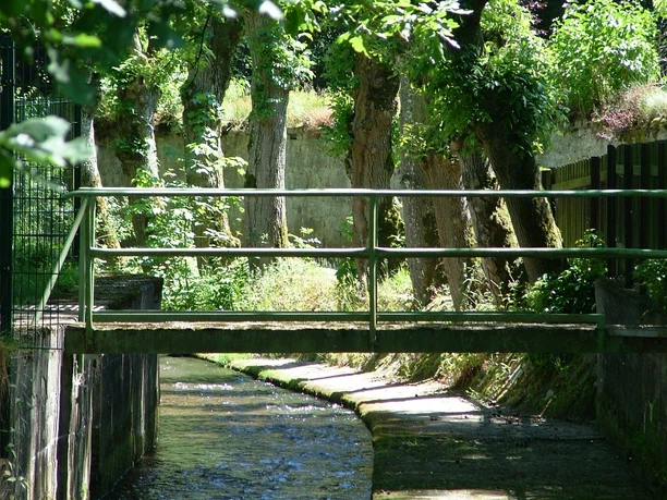 Der Sorpebach_Fabian Weisser