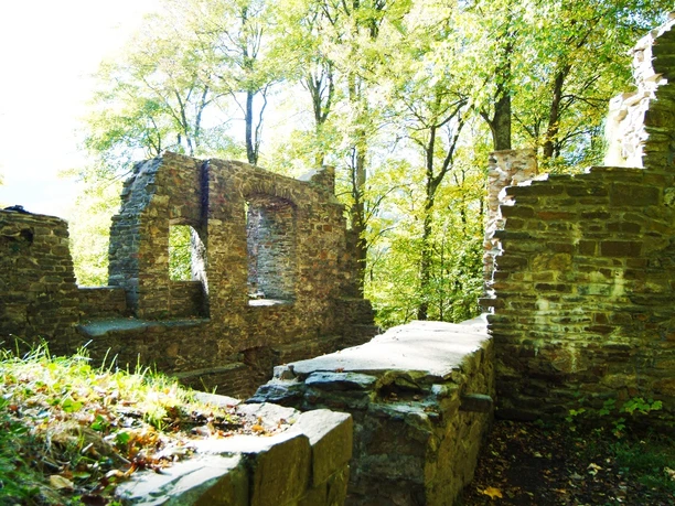 Burgruine Schwarzenberg
