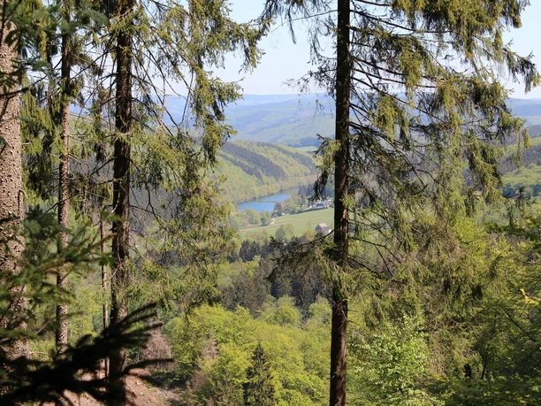 Blick auf die Oestertalsperre vom Sauerland-Höhenflug