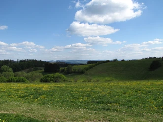 Ausblick vom Sterlberg Weite Sauerland-Landschaft mit Wiesen, Wäldern und Hügeln unter blauem Himmel